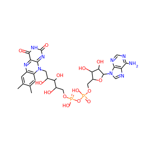 flavin adenine dinucleotide